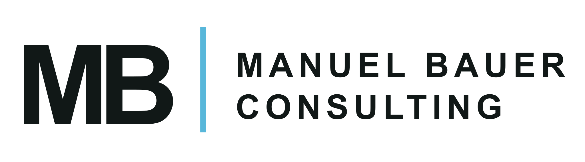 Manuel Bauer Consulting